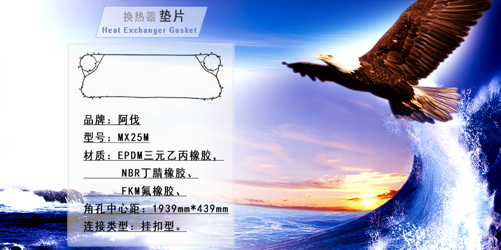图品汇_13177169_鹰背景-恢复的-恢复的-恢复的-恢复的.png